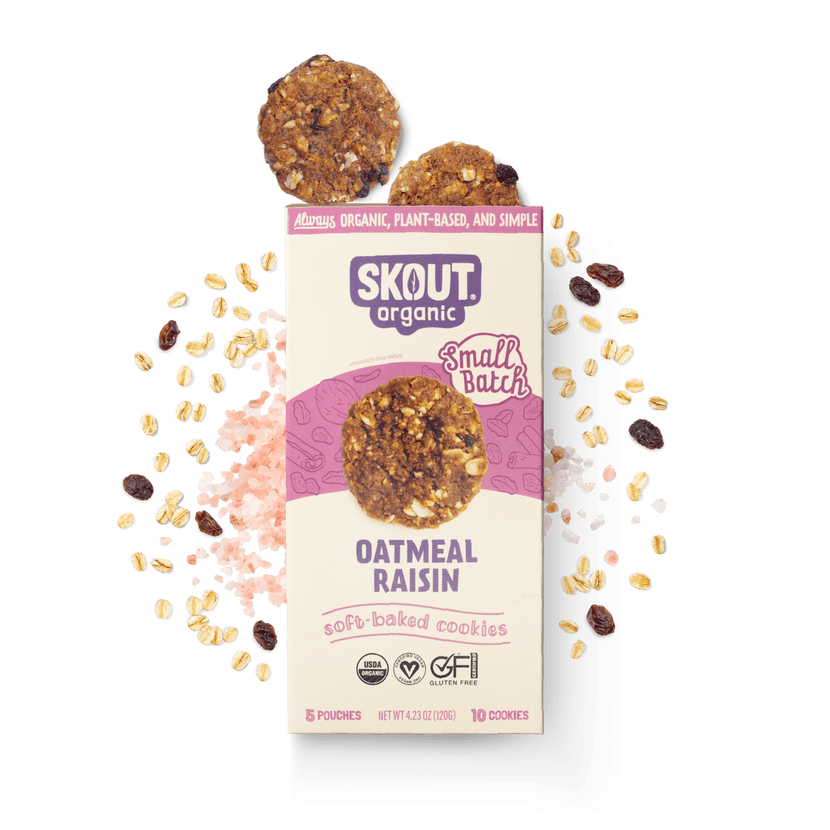 Oatmeal Raisin Soft Baked Cookies Build Your Own Box - Single Bar Skout Organic 