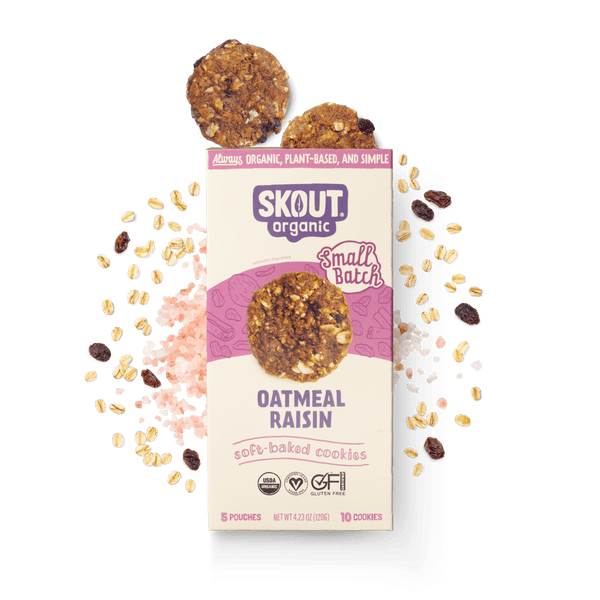 Oatmeal Raisin Soft Baked Cookies Build Your Own Box - Single Bar Skout Organic 