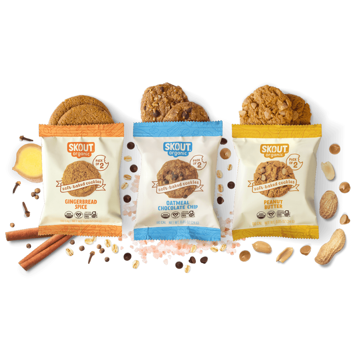 Skout Organic Discovery Sample Pack Organic Kids Bars Skout Organic 